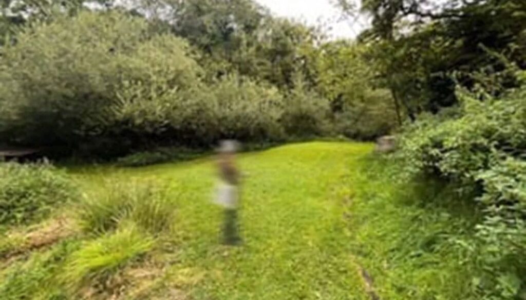 Inside Out Festival at Sandy Hill Arts