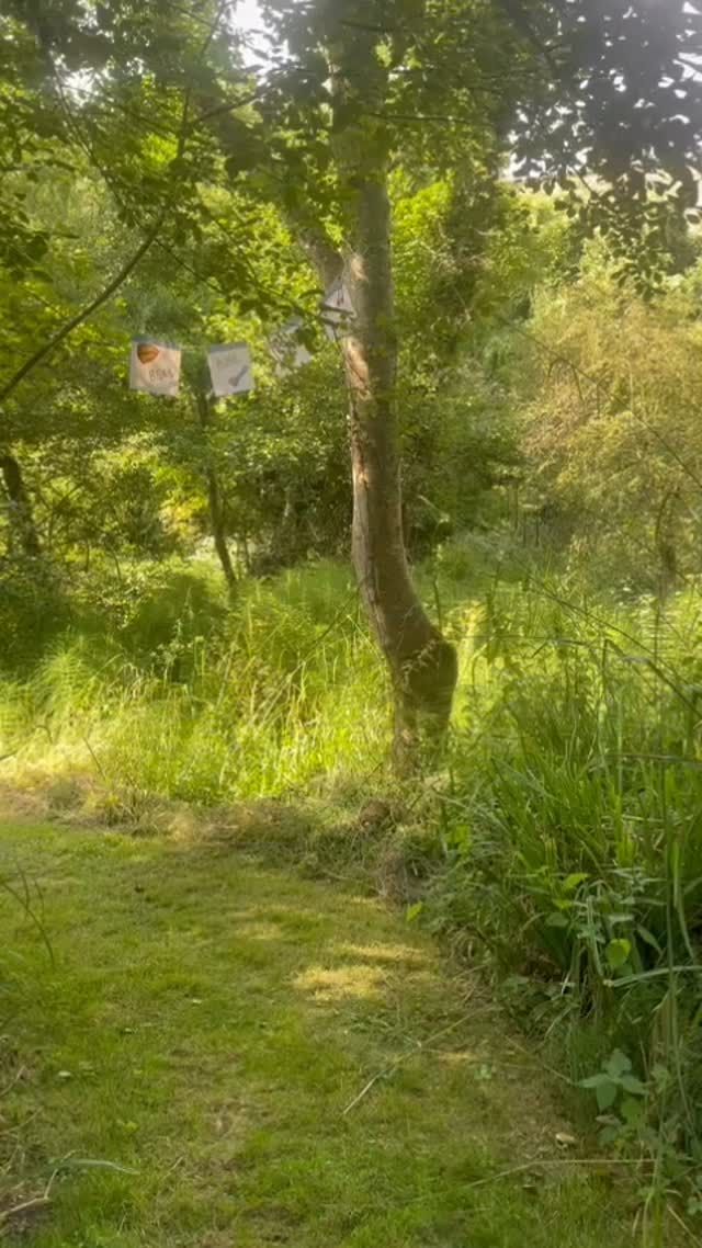 The magical ‘Woodland Clan Trail’ is officially open at Sandy Hill Arts every day 10-4pm until 1st September. Completely free, children and families can spend a wonderful day completing the free activity book and finding the fantastic willow sculptures around our beautiful site. Collect your activity booklets from in front of the Boilerhouse Gallery.Visitors can also visit the Corfe Castle Pottery, the Boilerhouse Gallery and our exhibition in Room 14 - all for free. Find us next to the steam railway station in Corfe Castle village by coming over the bridge or drive down the track off Sandy Hill Lane. Sign up for our Woodland Clan craft workshops ( £6 per child, adults free) and ‘Mouse Gets A Fright’ musical show ( family ticket £15, adult £6, child £3) on 8/9/10 August via our website www.sandyhillarts.co.uk. Bring a picnic and have a wonderful day out !#corfecastle #dorsetevents #corfecastlevillage #dorsetcouncil #dorsetevent #artscouncilengland #purbeck