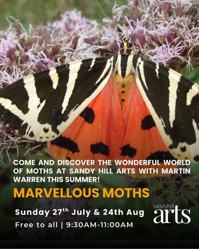 This morning between 9.30 and 11.00. Free and fascinating for all ages , our Marvellous Moths session with Martin Warren . Come along. Find us next to the railway station in Corfe Castle .